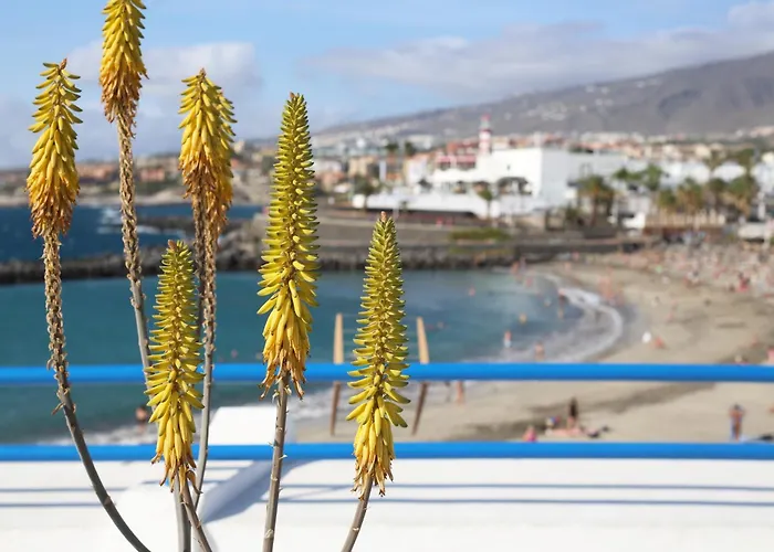 Luxury Romantic Ocean View Apartment *